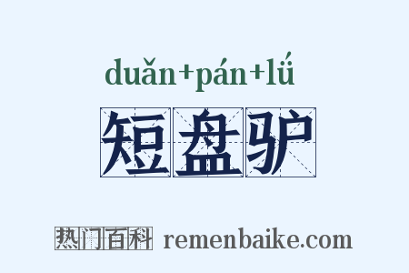 短盘驴是什么意思的图片